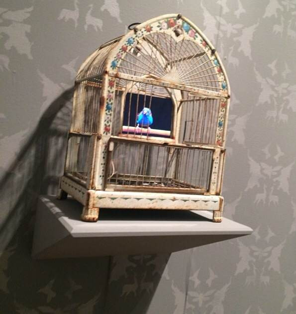 digital birds troy abbott