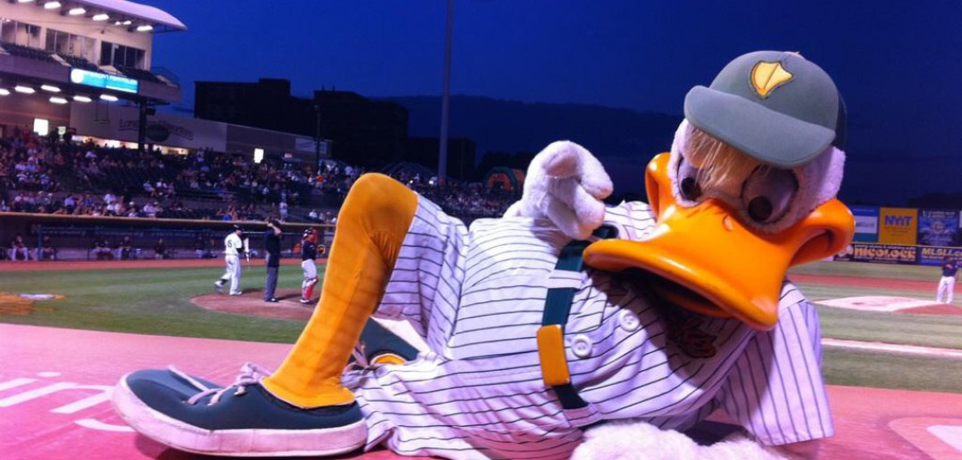 Long Island ducks mascot