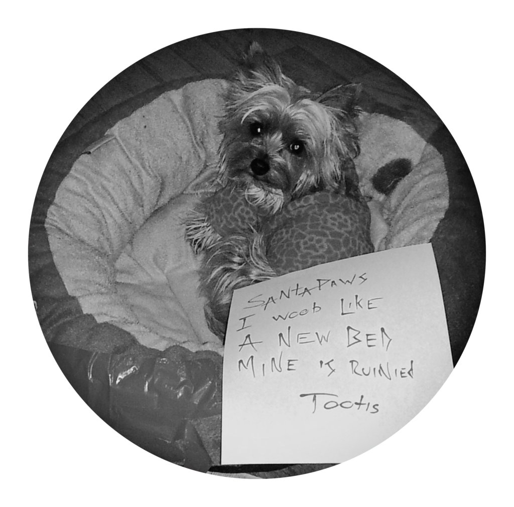 Letter To Santa Paws