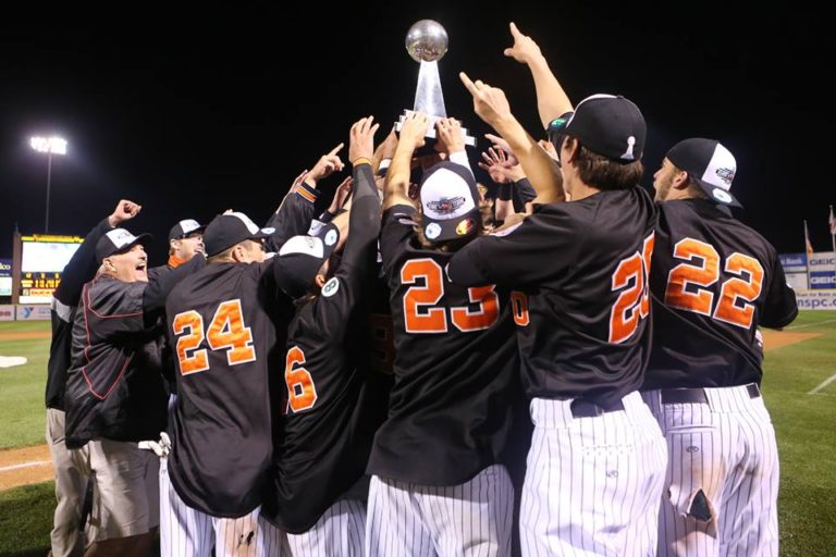 Long Island Ducks 2014