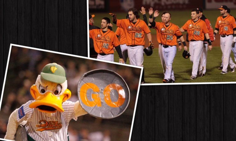 Long Island Ducks Season Recap Long Island ducks recap