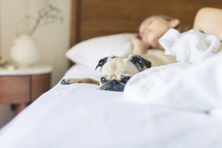 Sleeping Beauty – 8 Benefits of a Good Night’s Sleep