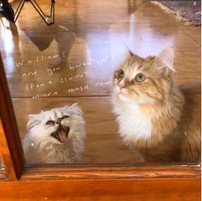 MURA MASA REMIXES WALLOWS “ARE YOU BORED YET?”